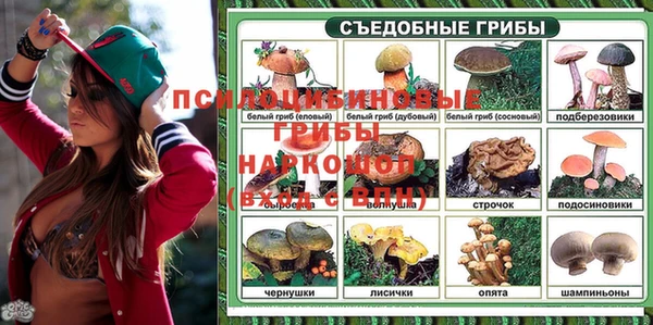 а пвп мука Белокуриха