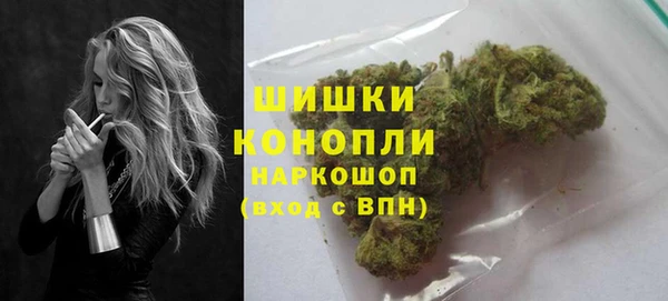 стафф Богородицк