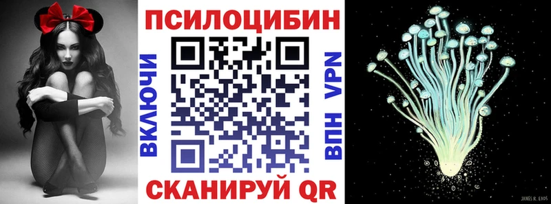 Купить где  Билибино  Галлюциногенные грибы Cubensis 
